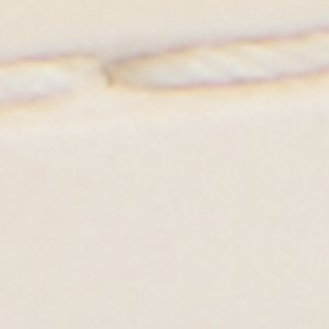 Sperry Angelfish 1 Eye Boat Shoe FOOTWEAR image