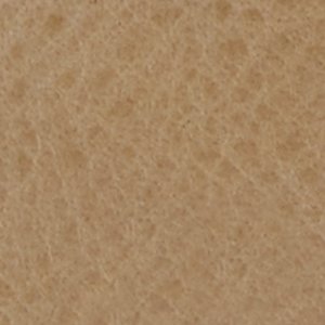 Sperry Gold Cup™ Authentic Original™ 2-Eye Woven FOOTWEAR image