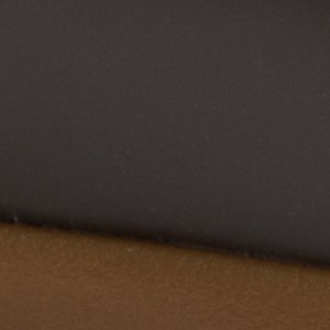 Sperry Saltwater™ 1 Eye Duck Shoe FOOTWEAR image