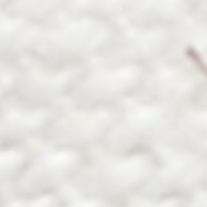 Sperry Isla Thong Embroider Sandal FOOTWEAR image