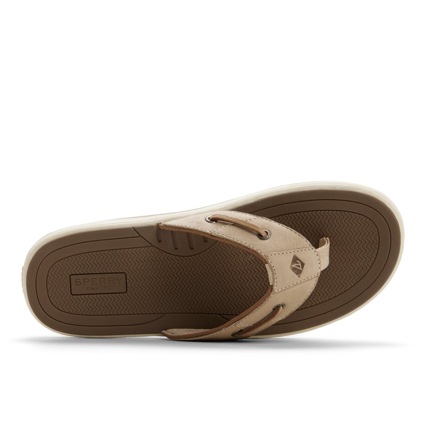Sperry Baitfish Thong Sandal FOOTWEAR image