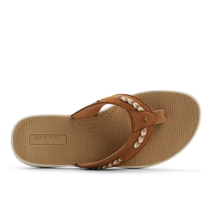 Sperry Sea Fish 2 Thong Sandal FOOTWEAR image