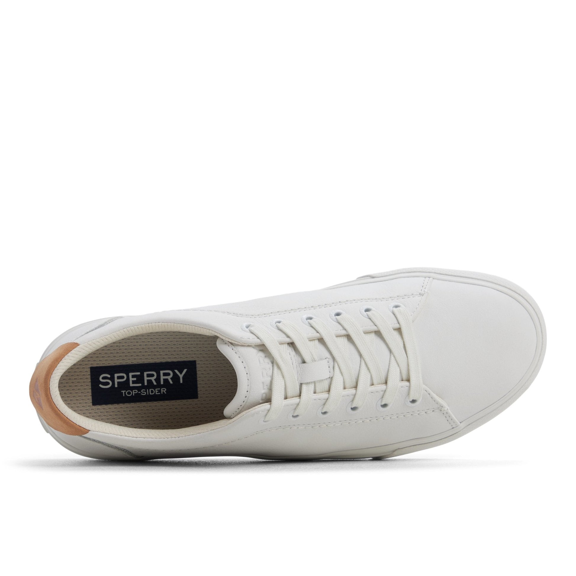 Sperry Helm Lace to Toe Sneaker FOOTWEAR image